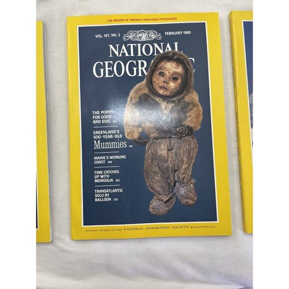 Nat Geo Jan–Jun 1985 Slipcover Lot | History, Wildlife, Adventure Book - Picture 10 of 16